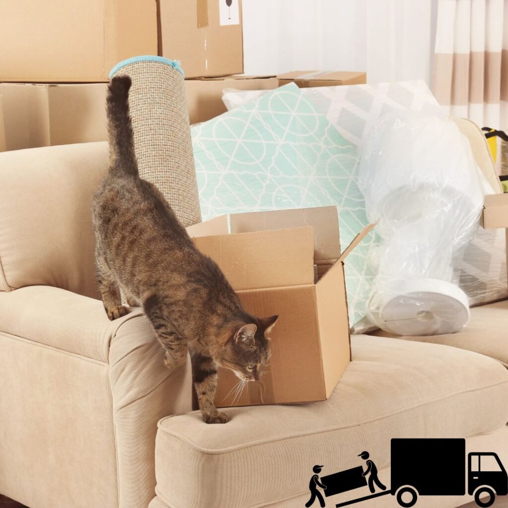 Moving with Pets in Edmonton